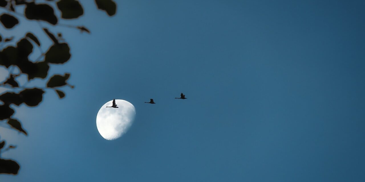 Pengalaman (Tutur Nasihat dalam Sepuluh Bait Pantun)