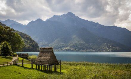 Our Amazing Adventure