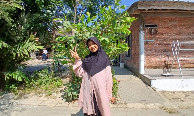 NUFO WITH SENJA AND AFTERNOON